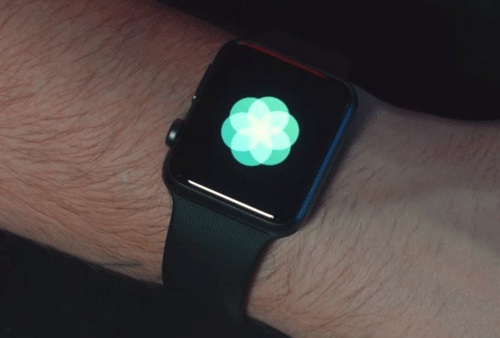 Dùng ứng dụng Breathe trên Apple Watch