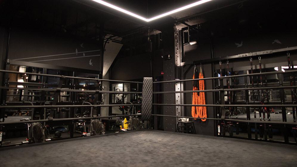 Background gym boxing
