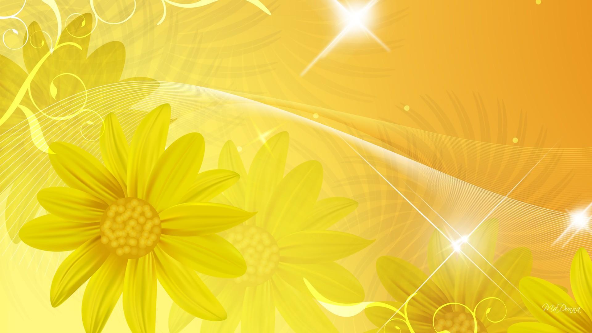 Background hoa cúc vàng