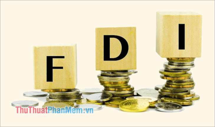 Các hình thức FDI