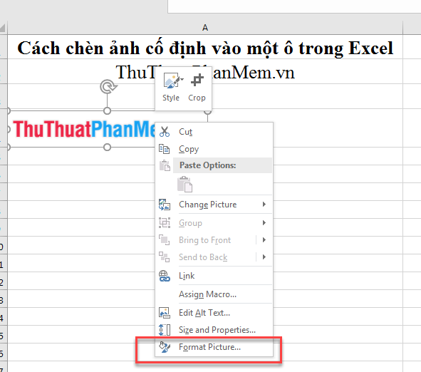 Chọn Format Picture