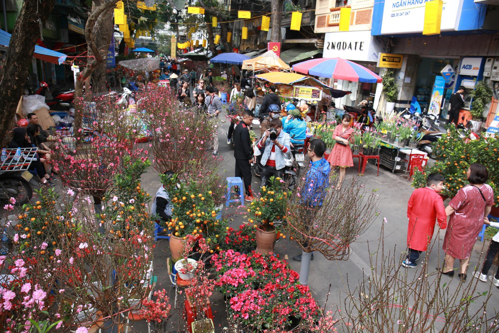 Hình ảnh chợ hoa ngày Tết