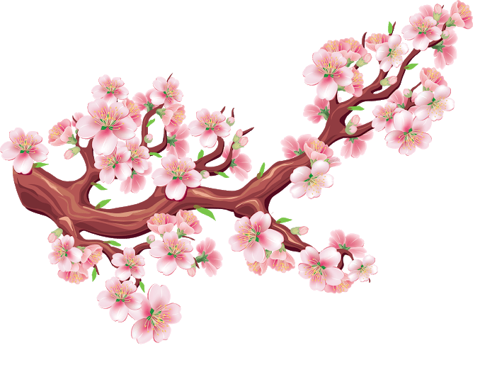 Hình ảnh hoa đào màu hồng