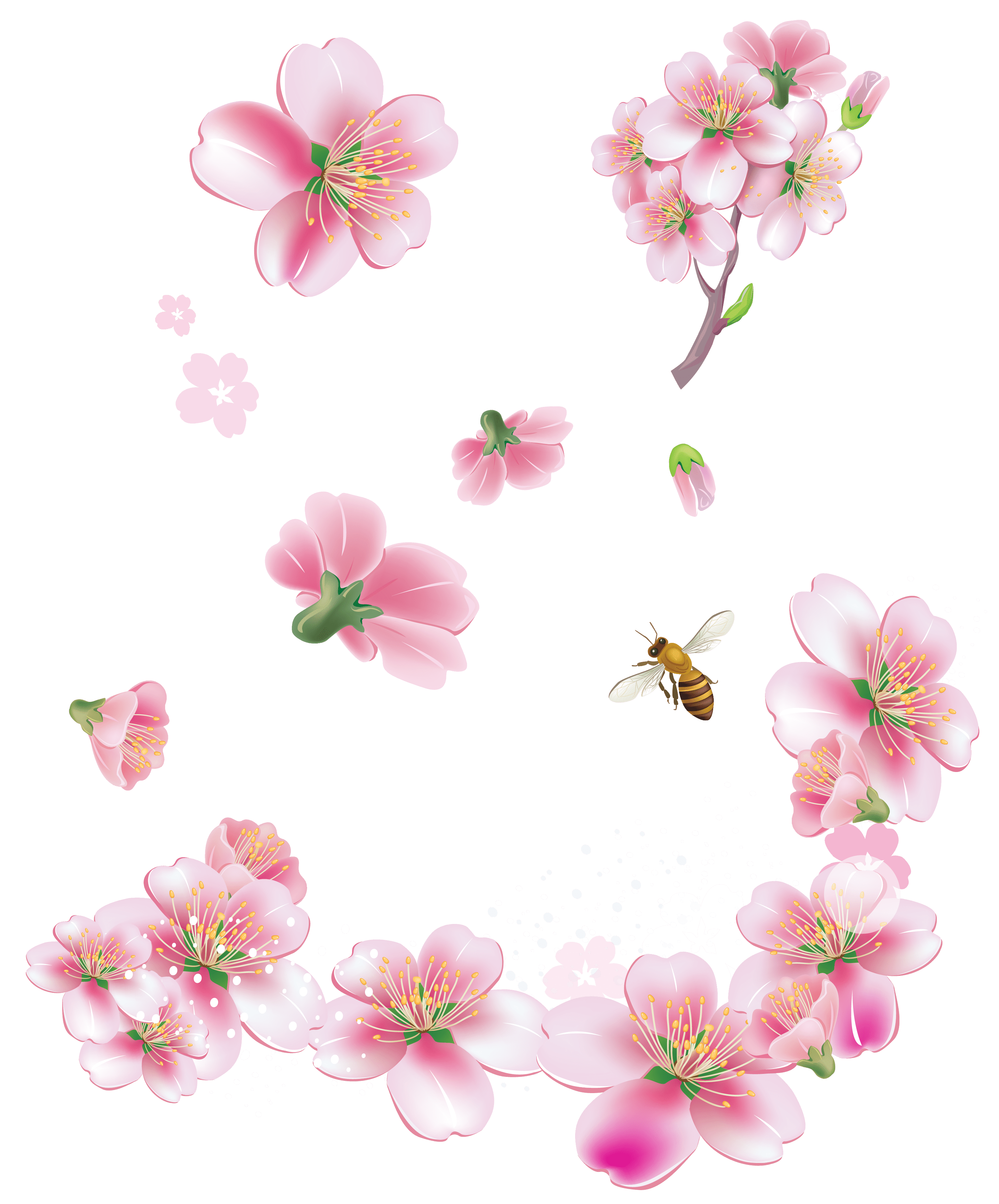 Hình ảnh hoa đào và chú ong