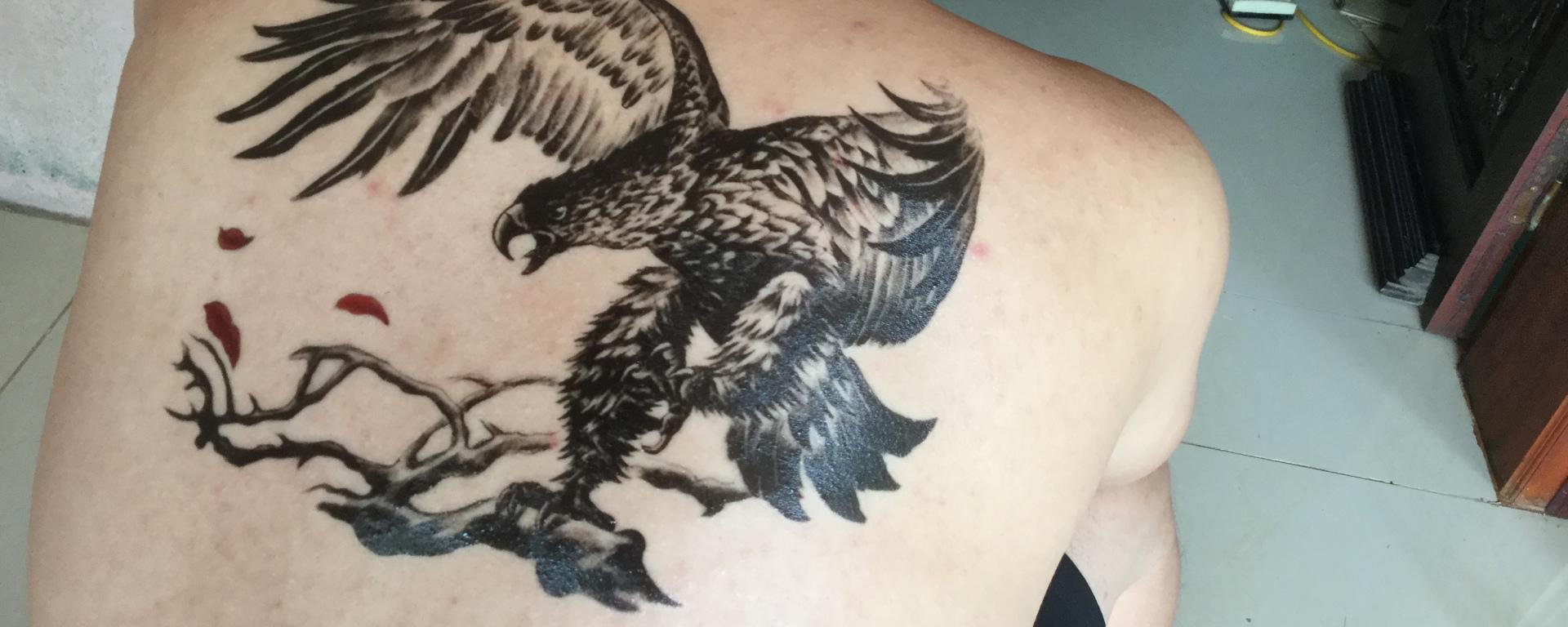 Hình Tattoo đại bàng trên lưng đẹp
