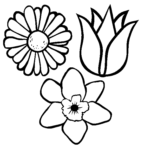 Hình tô màu các loại hoa