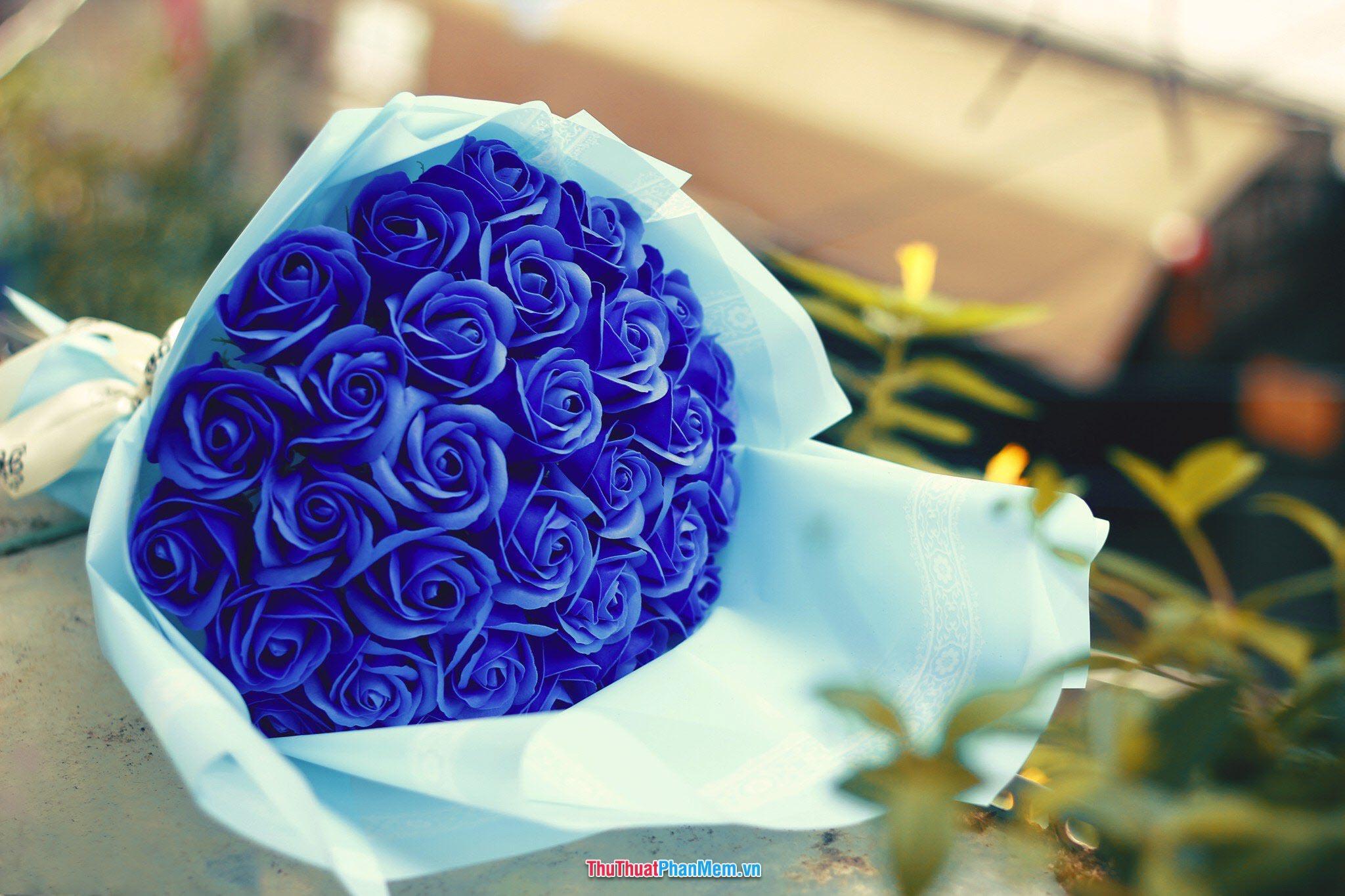 Hoa hồng xanh dành tặng mẹ nhân ngày mùng 8 tháng 3