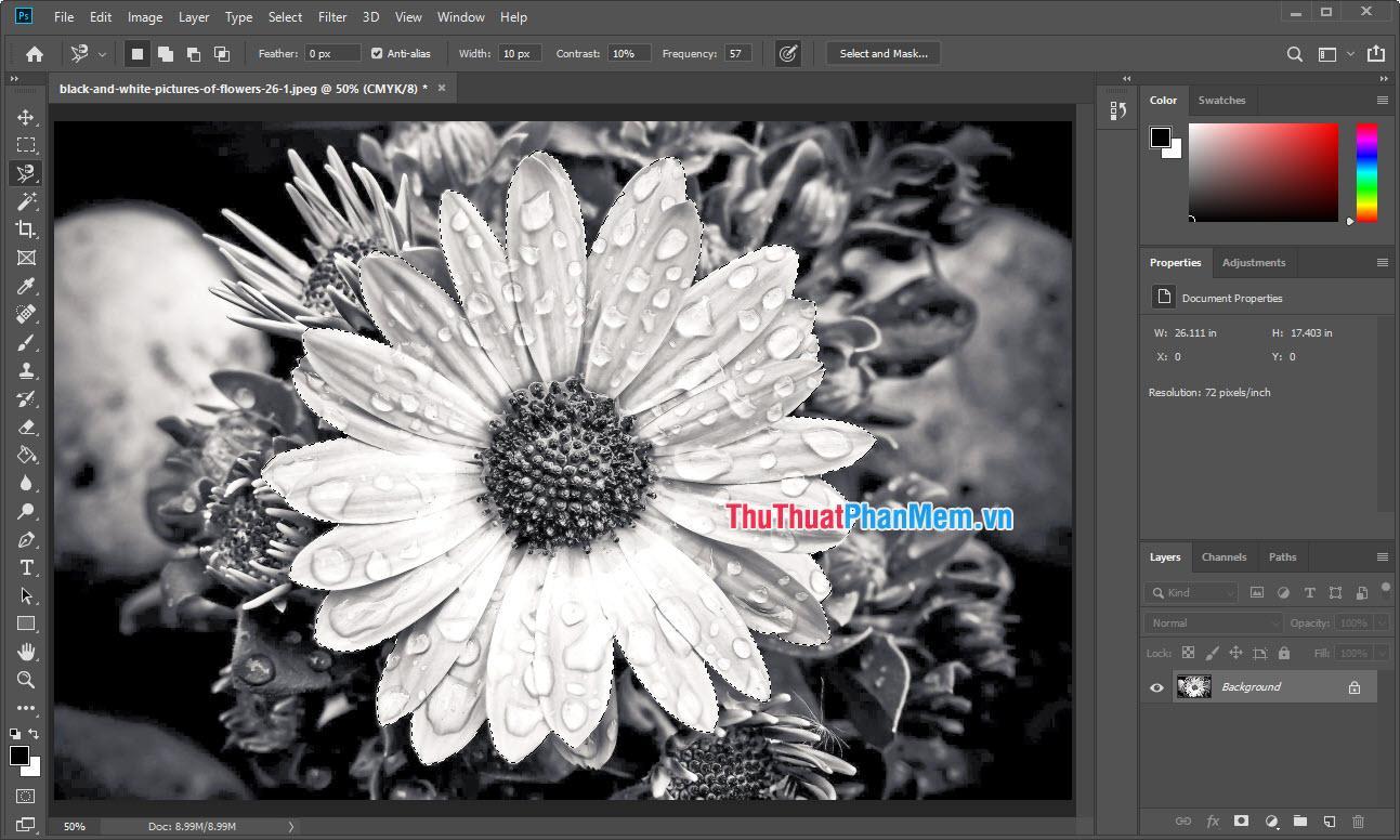 Mở hình ảnh đen trắng cần chỉnh sửa vào trong phần mềm Photoshop