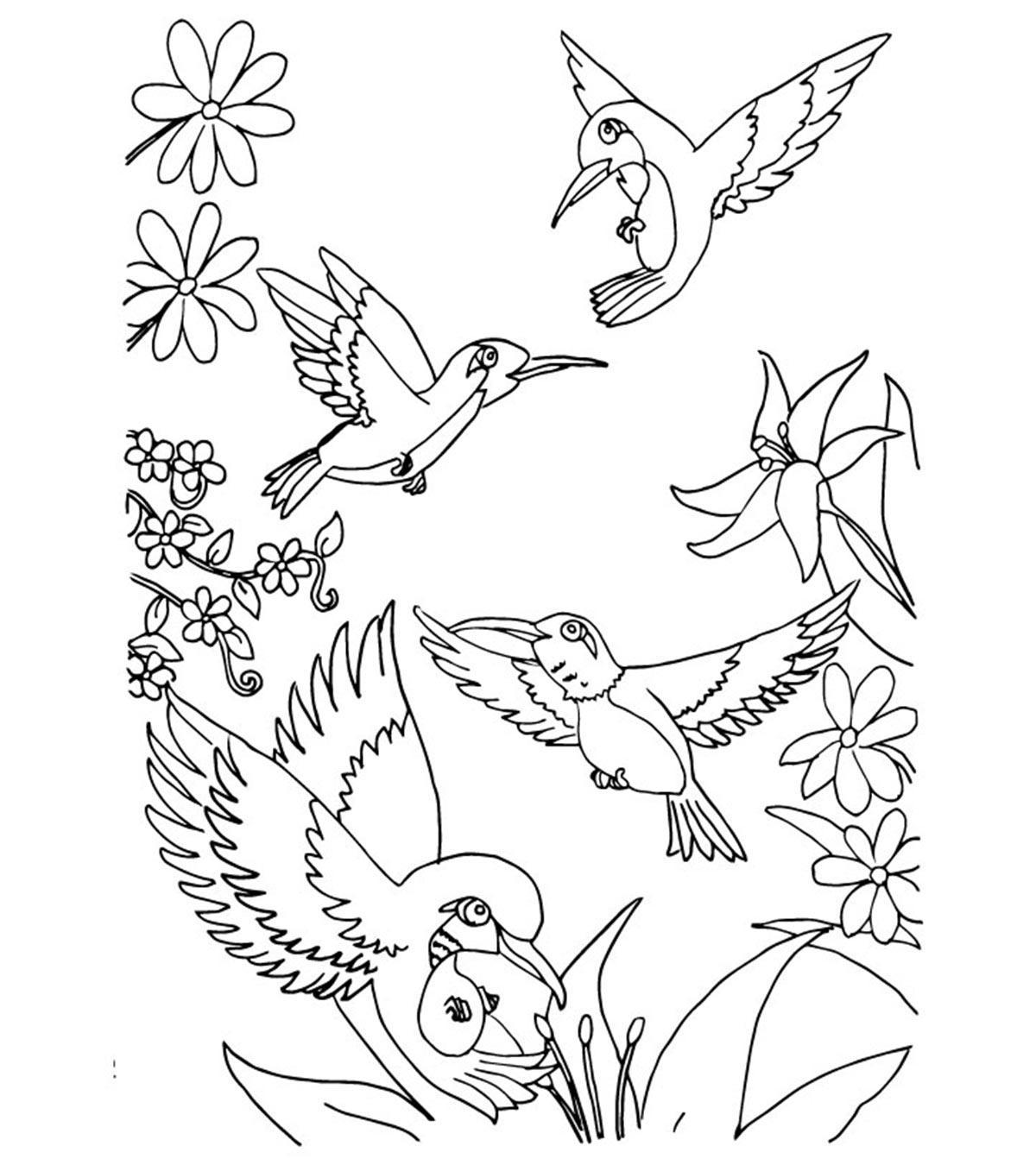 Tranh tô màu bốn chú chim bay lượn trong vườn