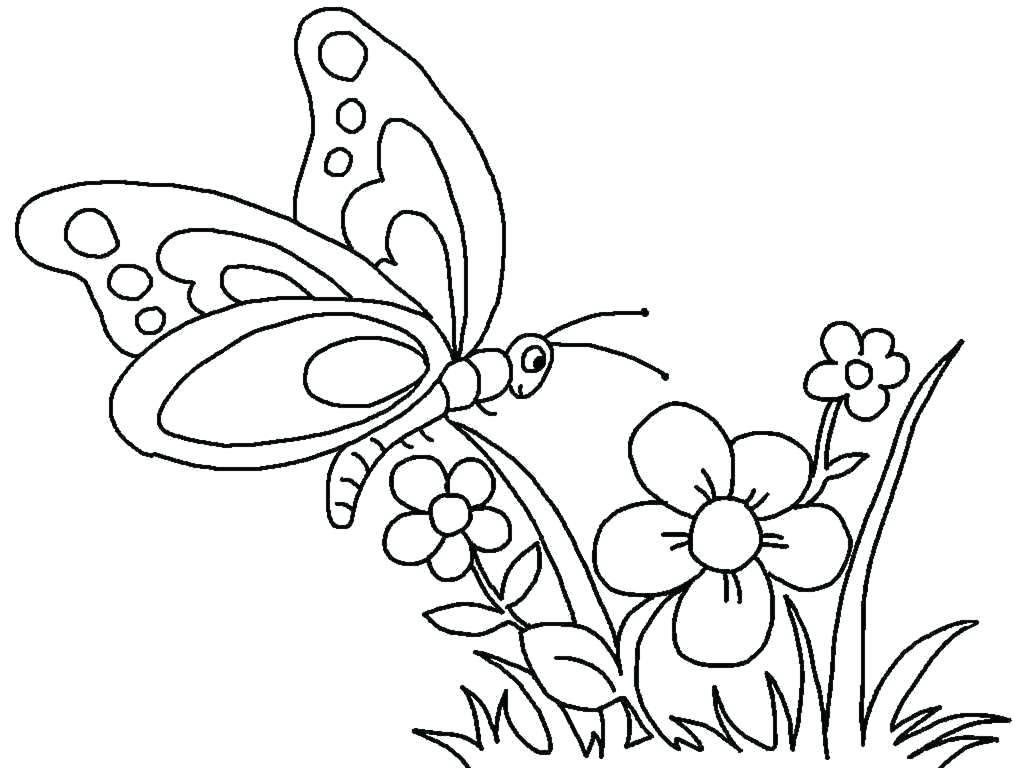 Tranh tô màu con bướm và hoa