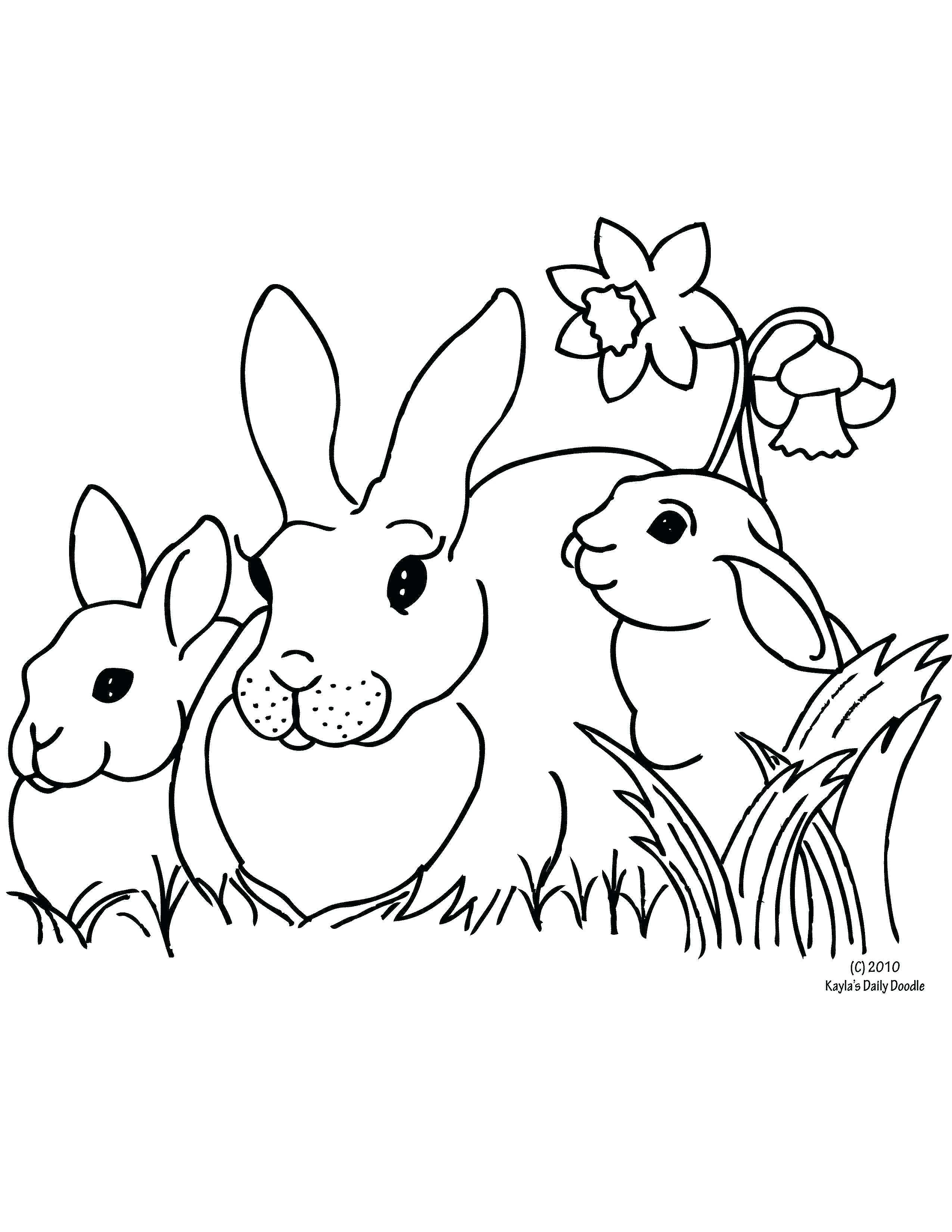 Tranh tô màu nhà ba bé thỏ đứng cạnh cành hoa