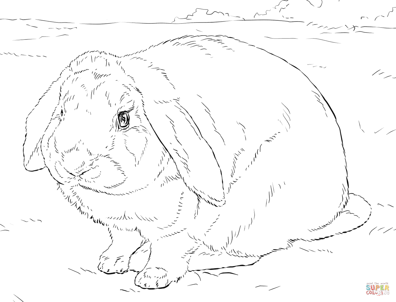 Tranh tô màu vẽ hiện thực chú thỏ lớn