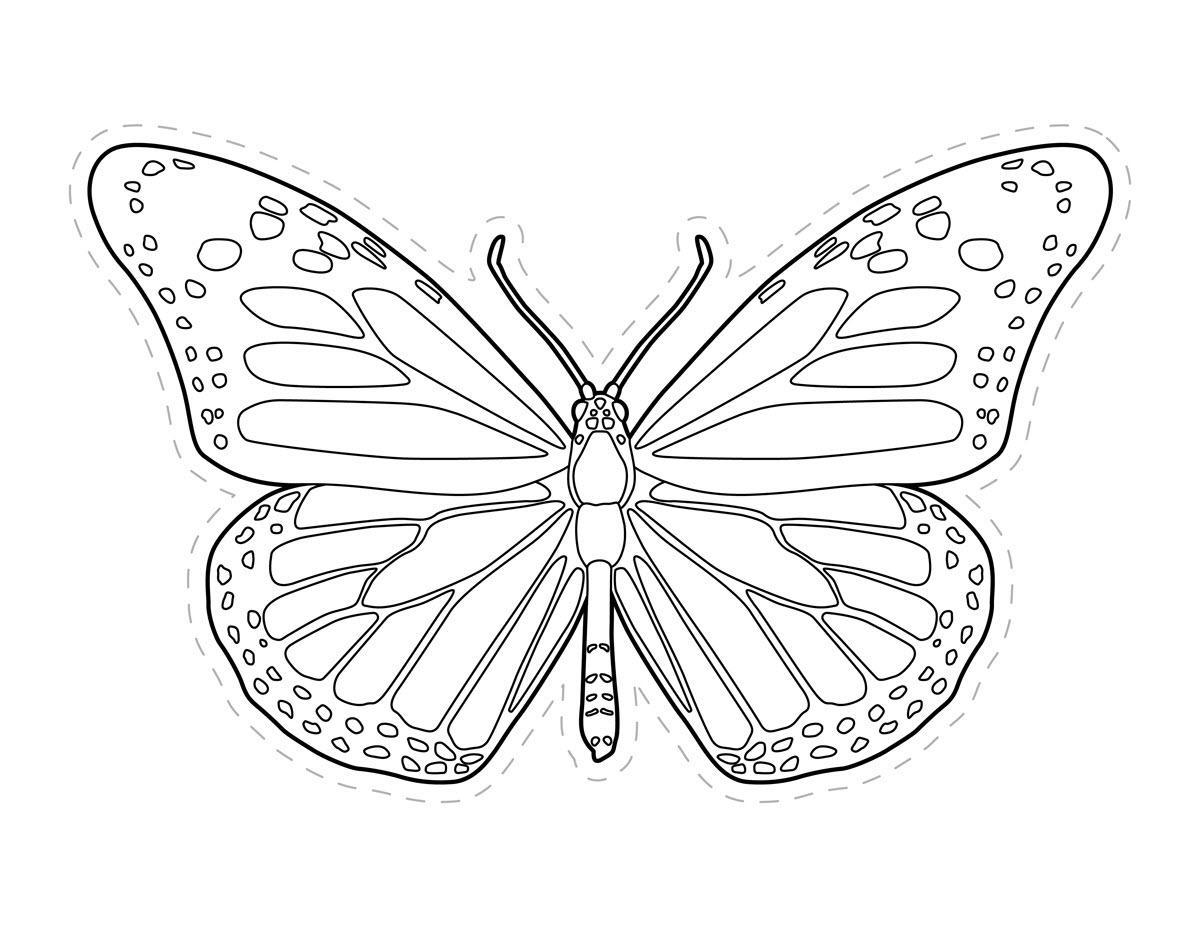 Tranh vẽ tô màu con bướm đơn giản đẹp nhất