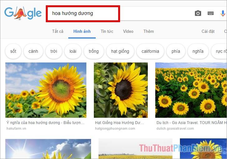 Truy cập trang tìm kiếm Google Hình ảnh và nhập từ khóa tìm kiếm hình ảnh