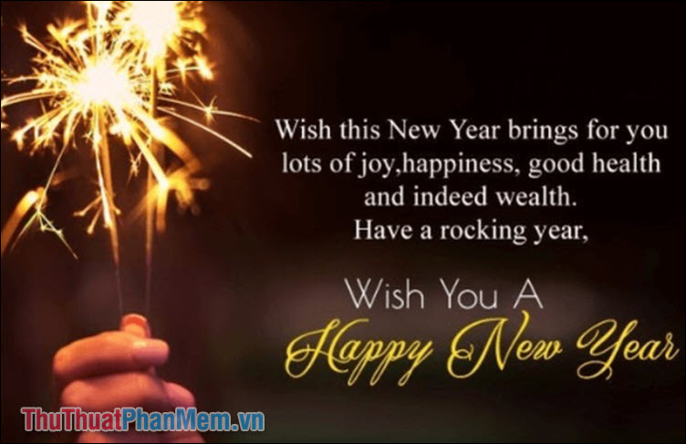 Wish this New Year brings for you lots of joy, happiness, good health and indeed wealth