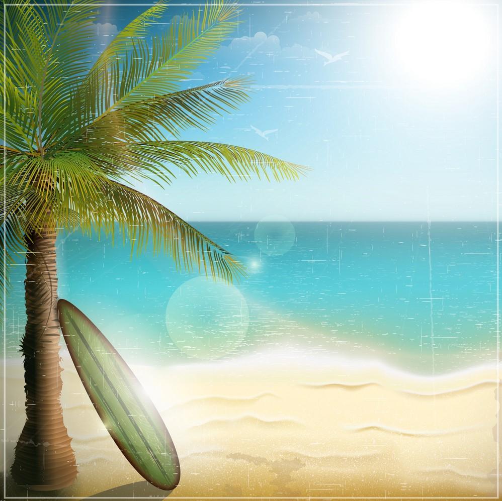 Background biển và cây dừa