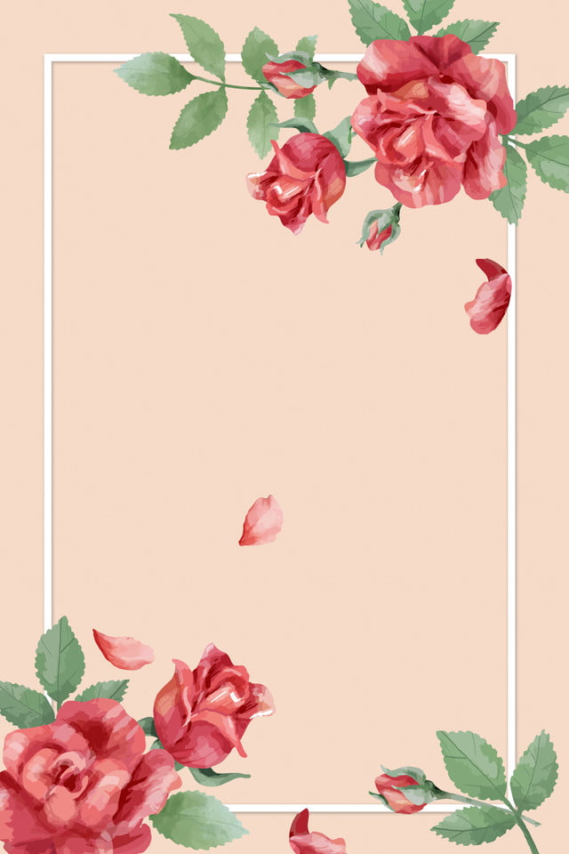 Background hoa hồng vẽ