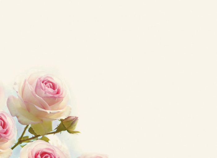 Background hoa màu hồng phấn