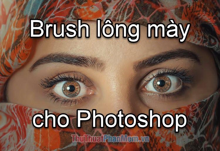 Brush lông mày cho Photoshop