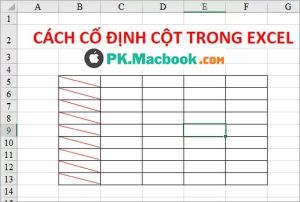 cách cố định cột trong Excel