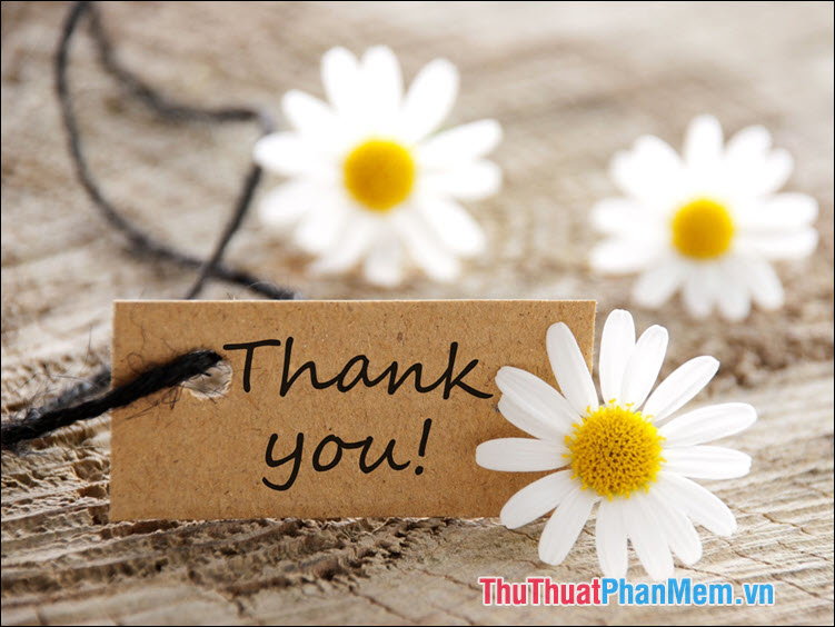 Cách dùng của 2 từ “cảm ơn” và “cám ơn”