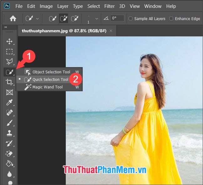 Chọn Quick Selection Tool