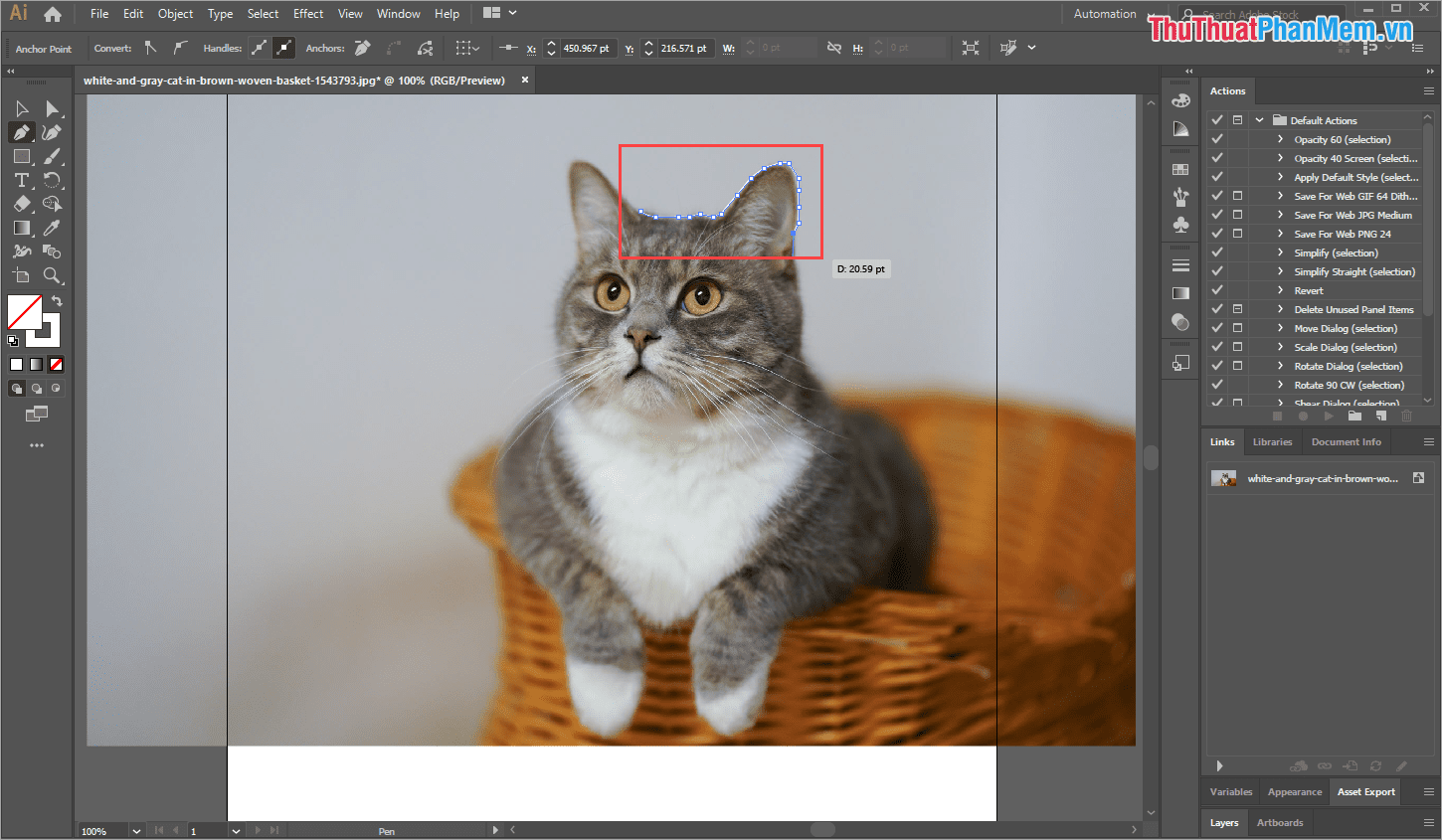 Click chuột phải vào ảnh và Click chuột để tạo những điểm neo tiếp theo bao quanh chủ thể cần tách ra khỏi Background