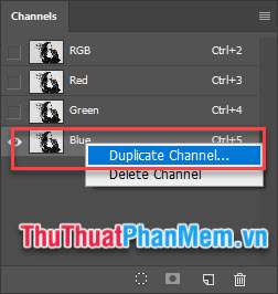 Click chuột phải vào channel Blue, chọn Duplicate Channel...