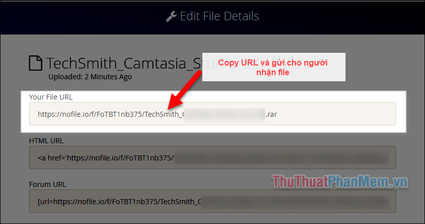 Copy đường dẫn tại dòng Your File URL