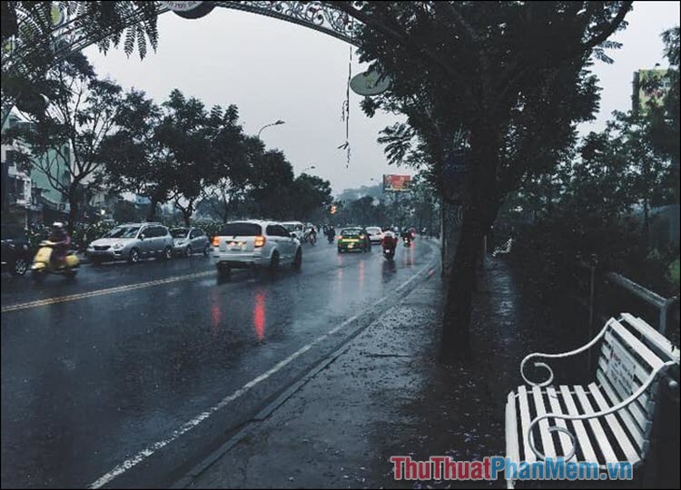 Đà Lạt một chiều mưa – Phan Trung Trực
