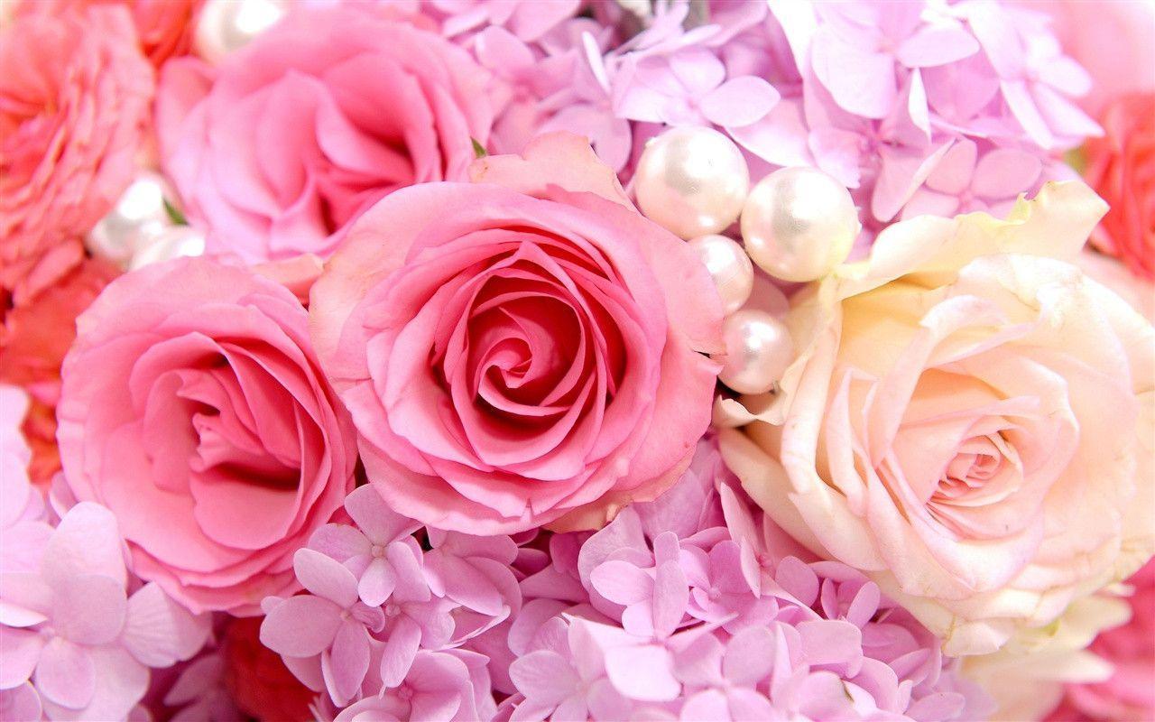 Hình ảnh background bông hoa hồng