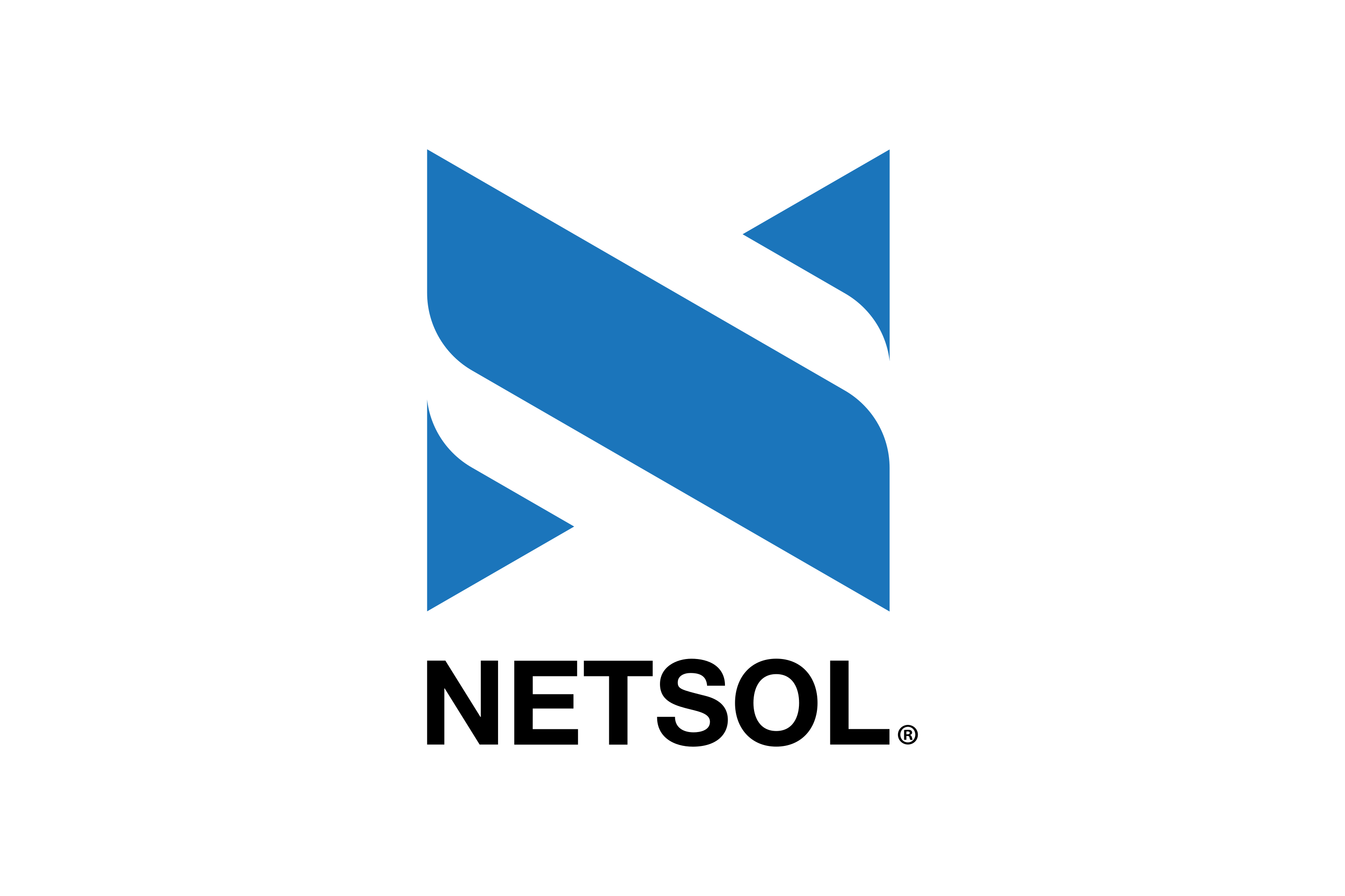 Hình ảnh logo công ty Netsol
