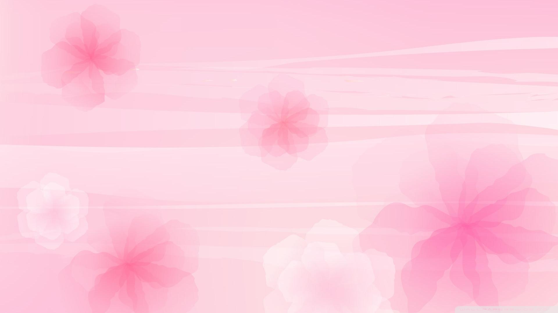 Hình background màu hồng đẹp