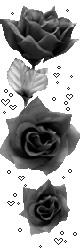 hình nền động hoa lá đẹp 1 (134)