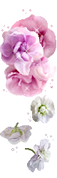 hình nền động hoa lá đẹp 1 (201)
