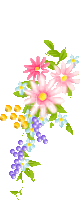 hình nền động hoa lá đẹp 1 (90)