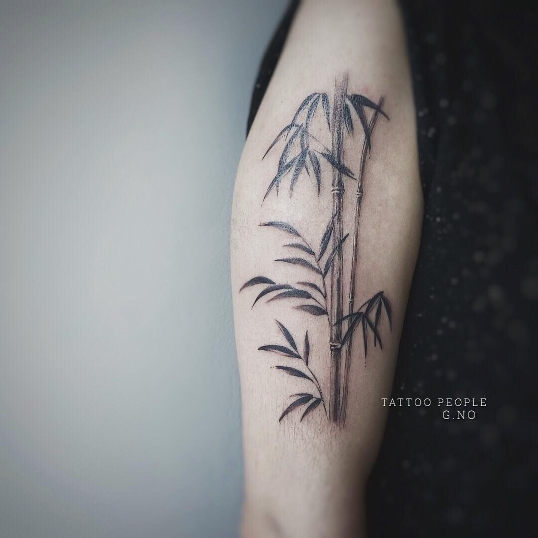 Hình Tattoo cây trúc đơn giản cực đẹp