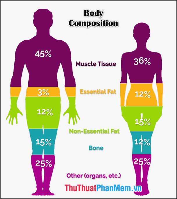 Kiểm soát thành phần cơ thể và chế độ dinh dưỡng (Body composition)