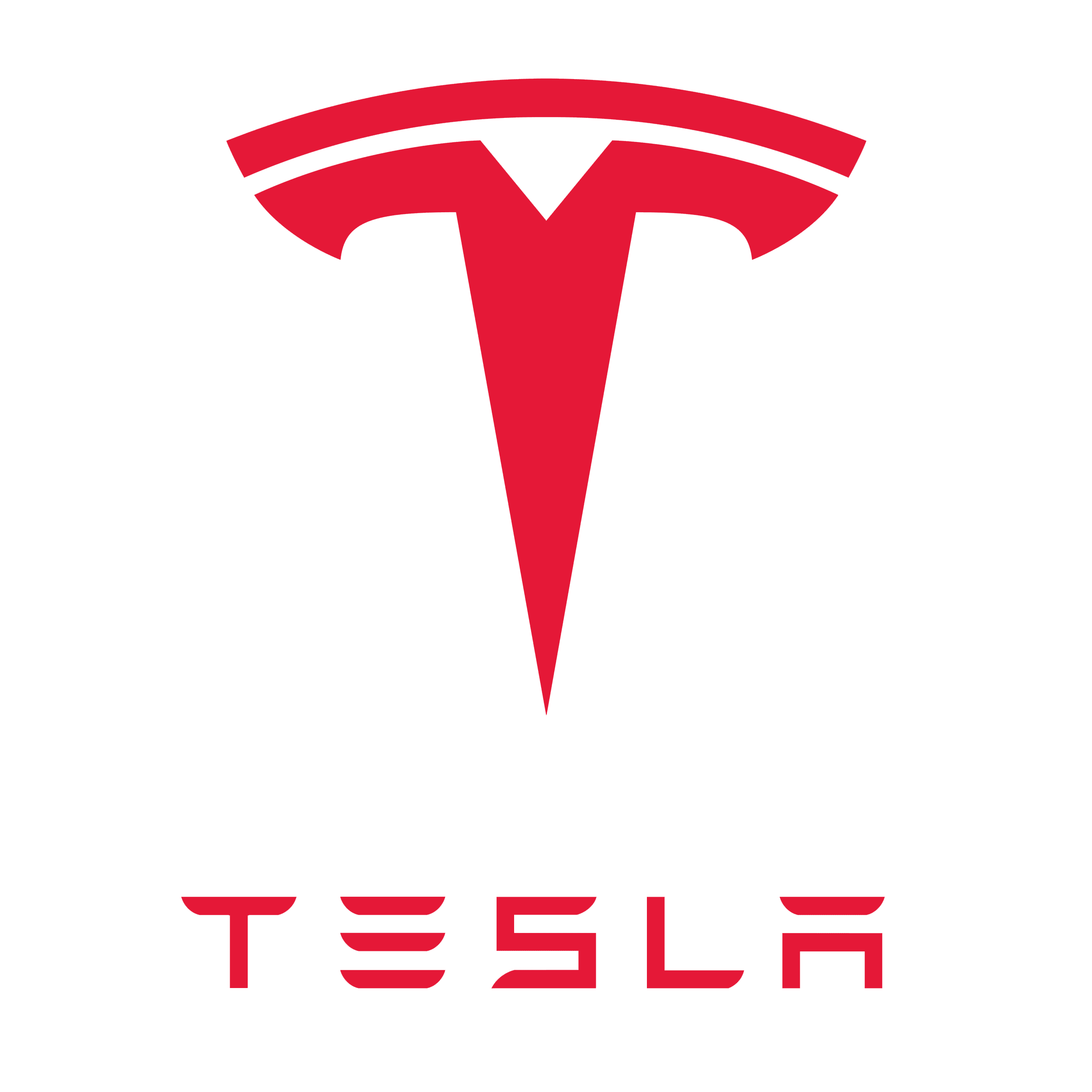 Logo xe Tesla