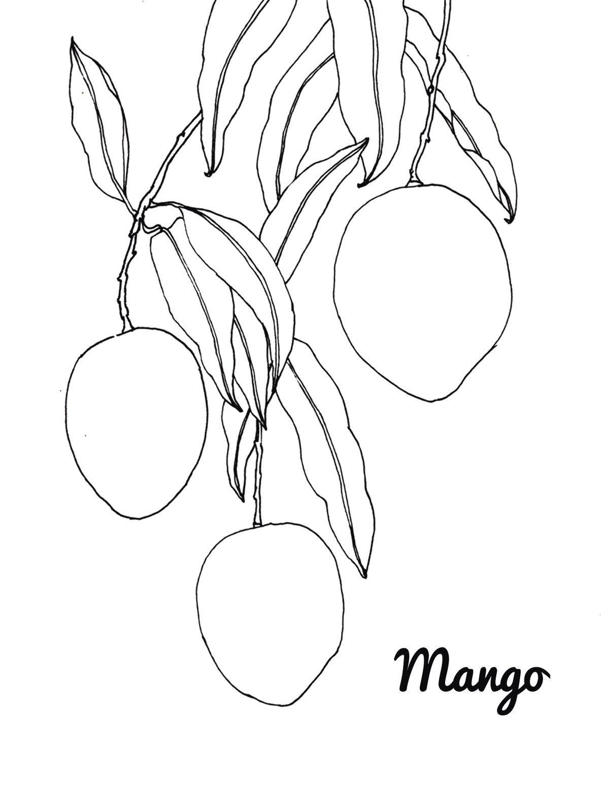 Mango Coloring