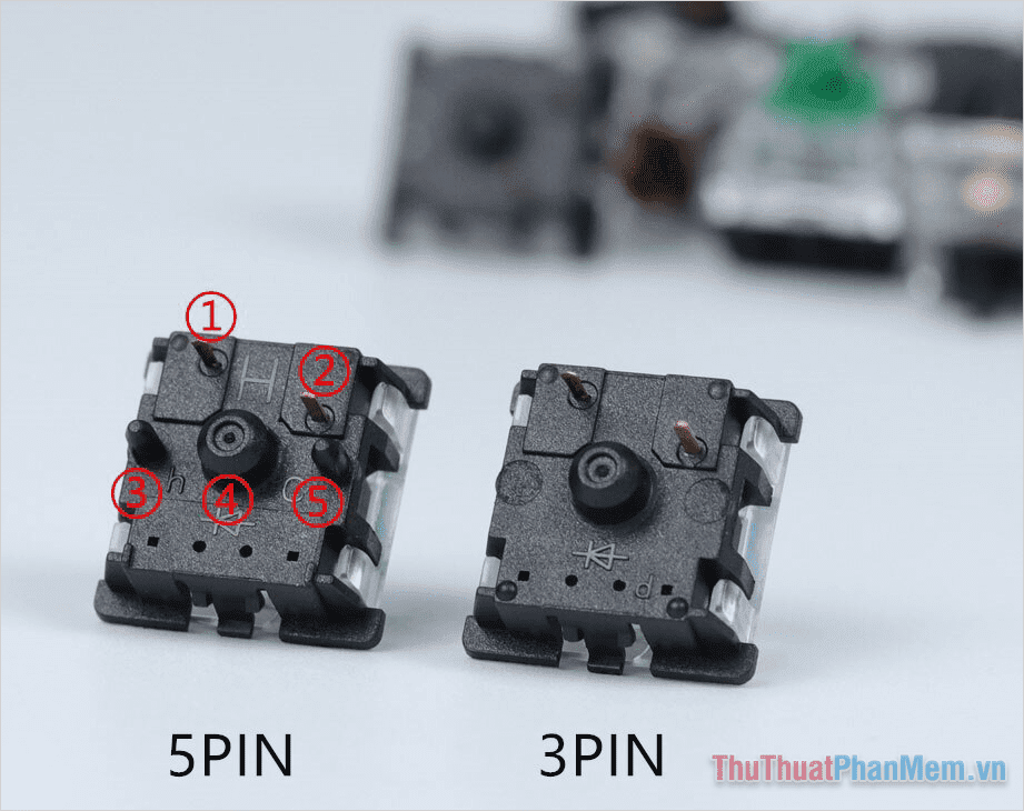 Switch 3-pin và Switch 5-pin