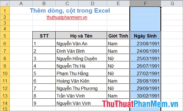 Thêm dòng, cột trong Excel 8