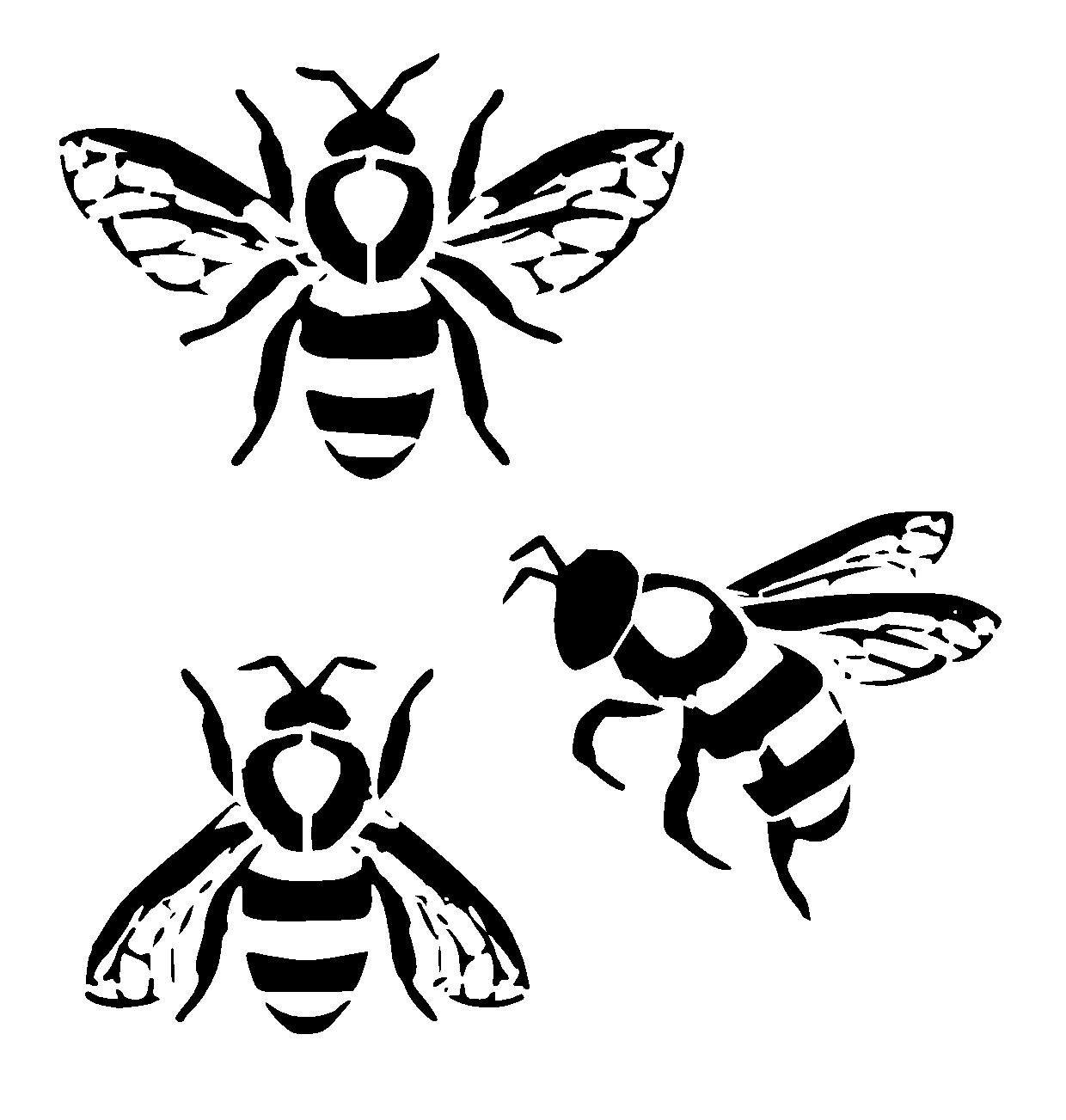 Tranh tô màu ba con ong hình dáng khác nhau