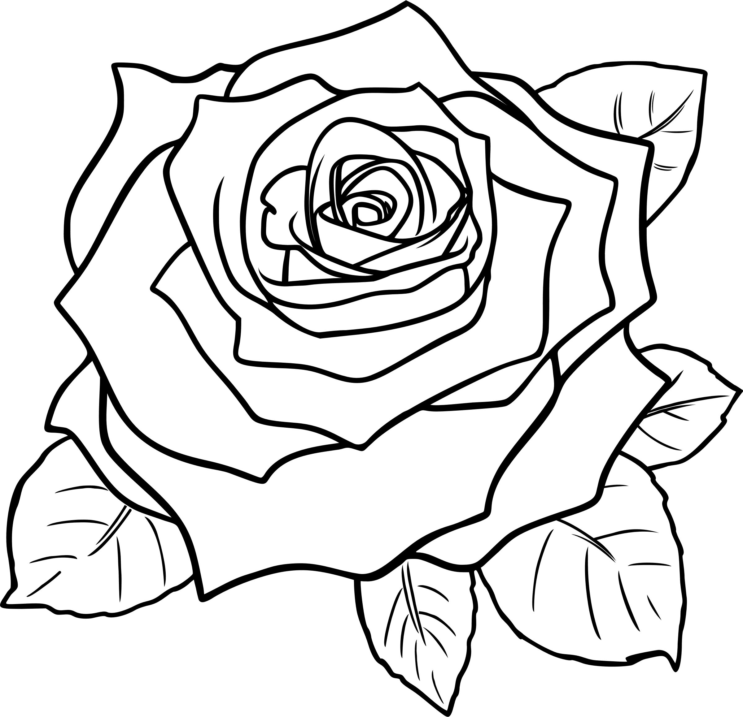 Tranh tô màu bông hoa hồng đẹp