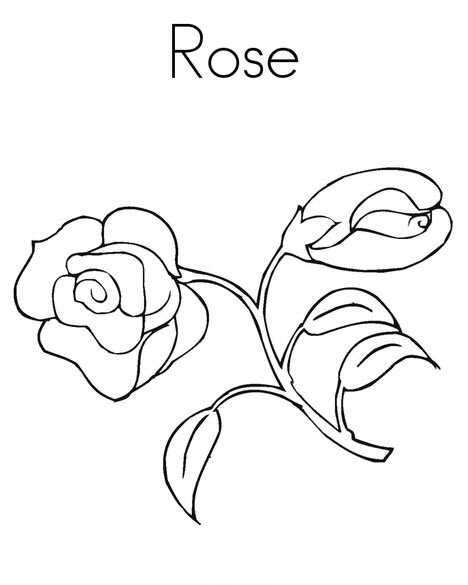 Tranh tô màu cây hoa hồng đơn giản
