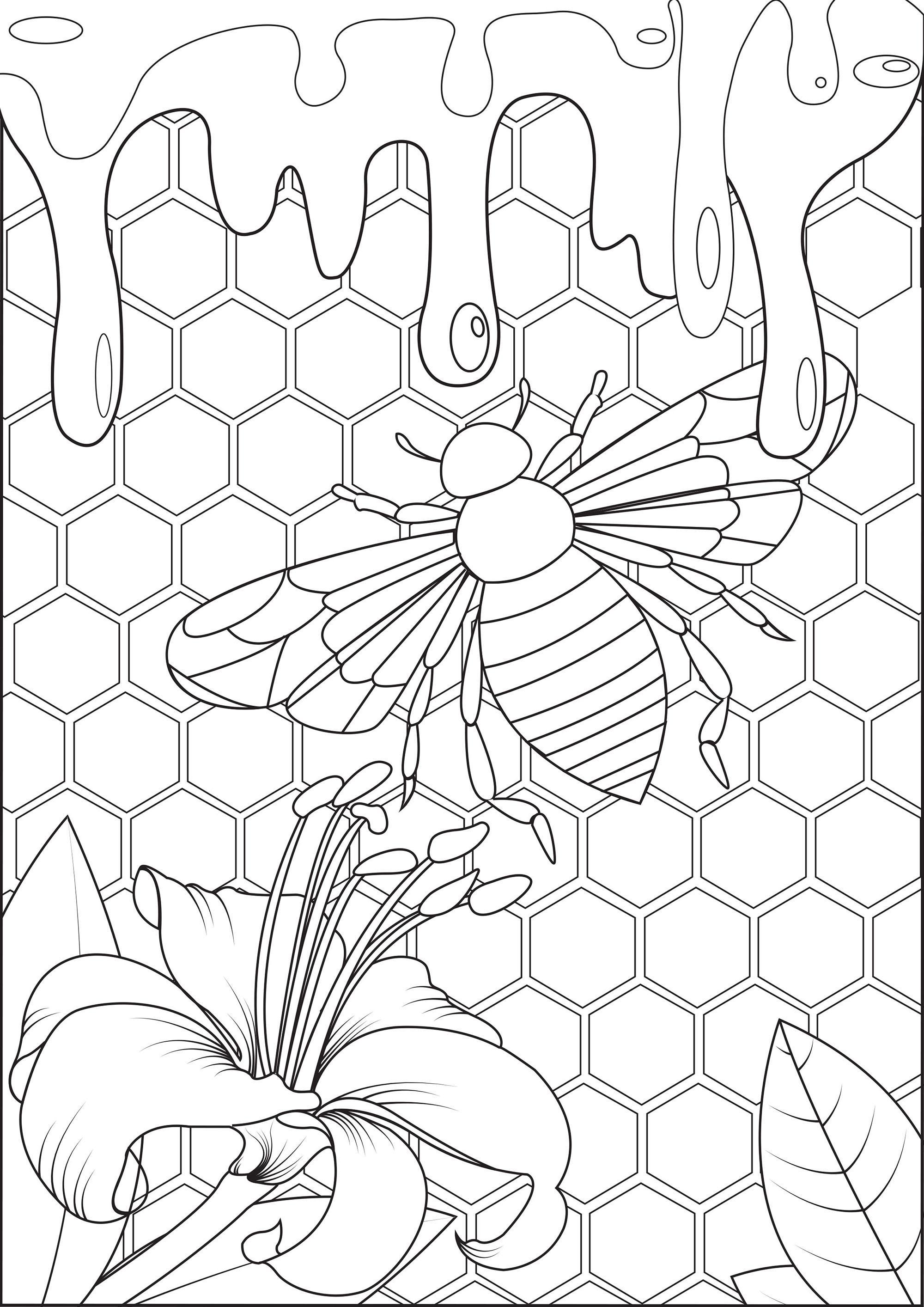 Tranh tô màu cho bé chú ong trong tổ ong