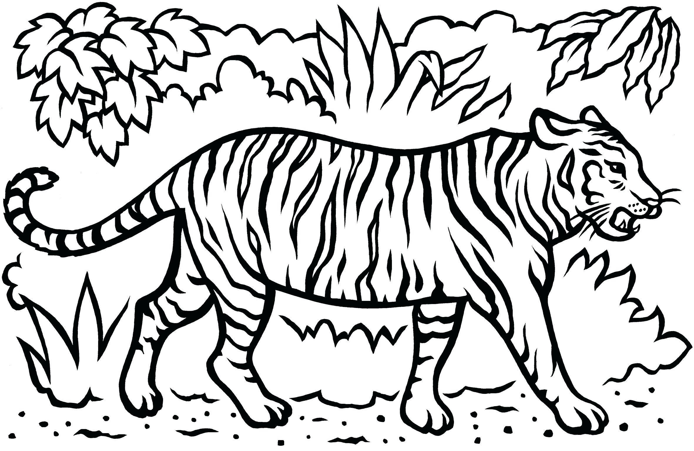 Tranh tô màu con hổ bước đi trong rừng