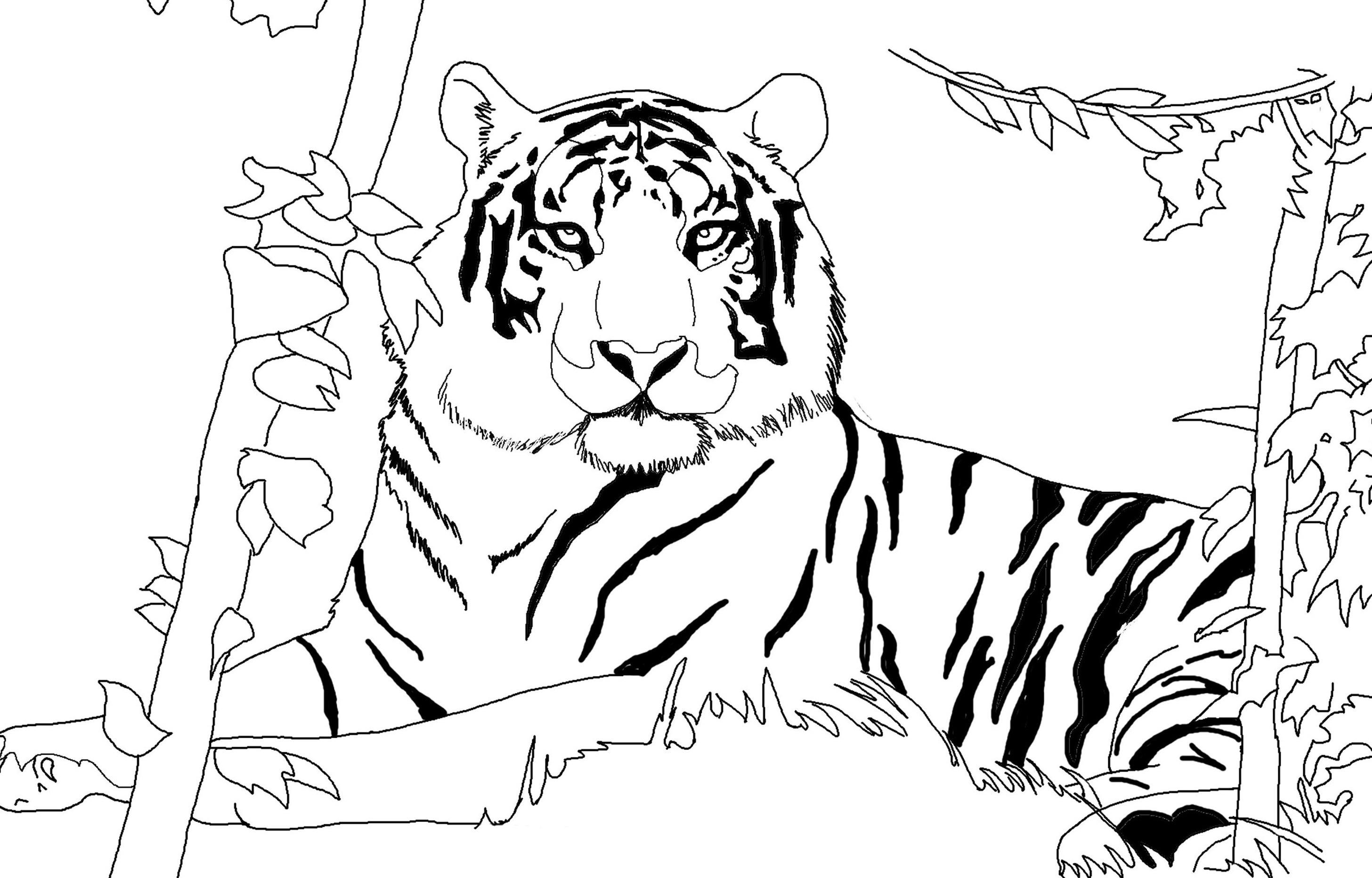 Tranh tô màu con hổ dành cho bé