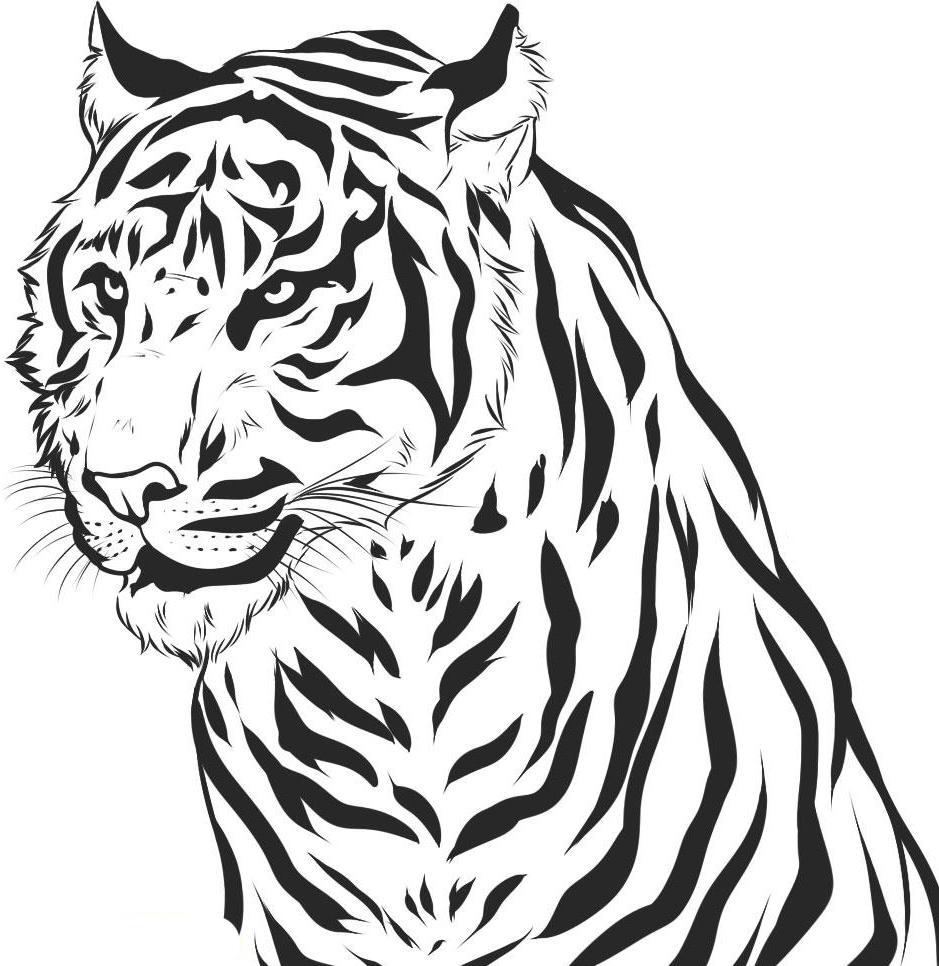 Tranh tô màu con hổ trông rất ngầu