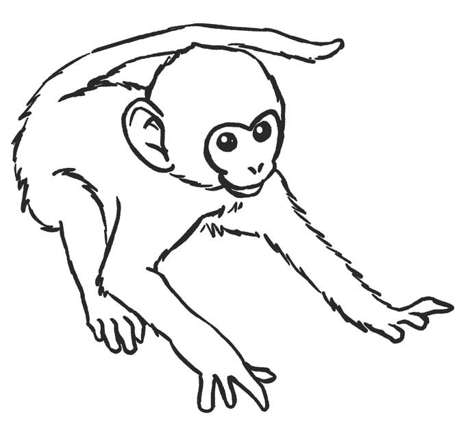 Tranh tô màu hình con khỉ cho bé